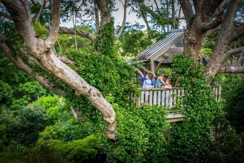 Charlotte's Web - Northern Rivers Accommodation 1