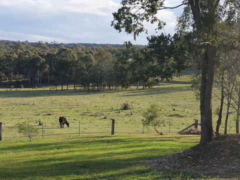 Charolais Cottage - Northern Rivers Accommodation 3