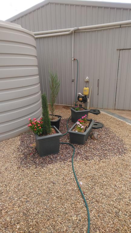Chrissie's Dongara - Northern Rivers Accommodation 2