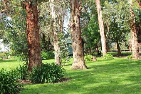 Clarendon Chalets - Northern Rivers Accommodation 1