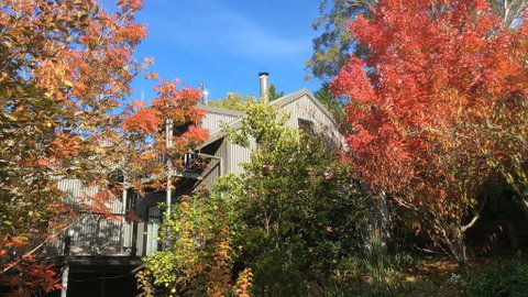 Cloudsong Chalet 4 - Close To The Village Centre! - Northern Rivers Accommodation 0