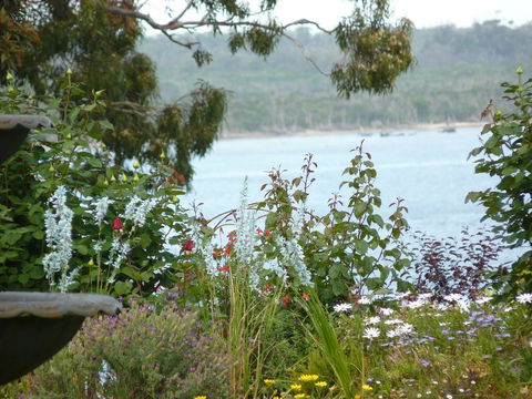 Clovelly Cottage - Northern Rivers Accommodation 3