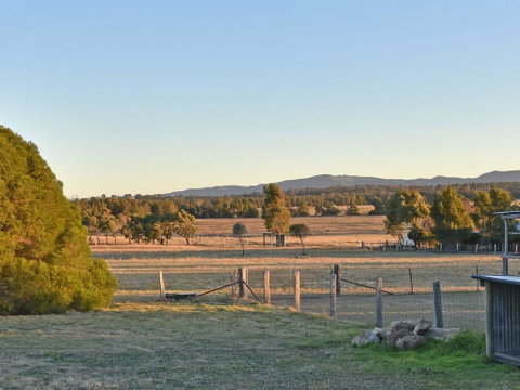 Clydesdale Cottage On Talga With Real Clydesdale Horses - Northern Rivers Accommodation 1