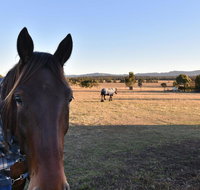 Clydesdale Cottage on Talga with real Clydesdale Horses - Northern Rivers Accommodation