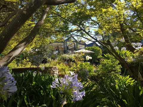 Cobb's Hill Homestead - Northern Rivers Accommodation 1