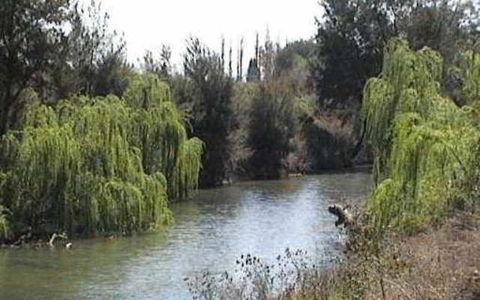 Colonial Inn Motel - Northern Rivers Accommodation 3