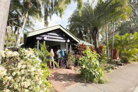 Colonial Village Cabins, Camping & Tours - Hervey Bay YHA - Northern Rivers Accommodation 2