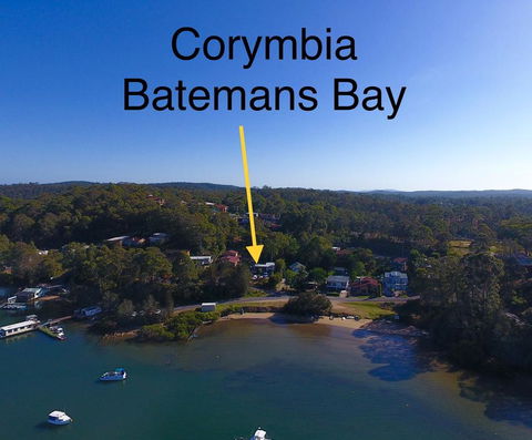 Corymbia Batemans Bay - Northern Rivers Accommodation 1