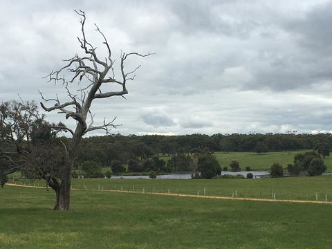Country Farm House Close To Ballarat - Northern Rivers Accommodation 1