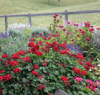 Country Mile Escape - Northern Rivers Accommodation