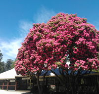 Crossways Country Inn - Northern Rivers Accommodation