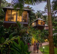 Daintree Ecolodge - Northern Rivers Accommodation