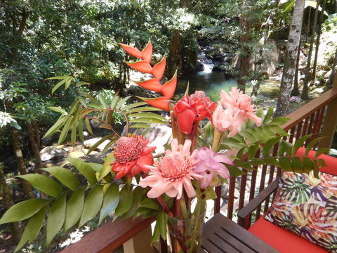 Daintree Secrets Rainforest Sanctuary - Northern Rivers Accommodation 1