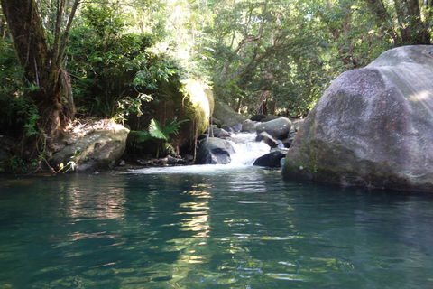 Daintree Secrets Rainforest Sanctuary - Northern Rivers Accommodation 0