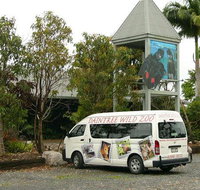 Daintree Wild Bed  Breakfast - Northern Rivers Accommodation