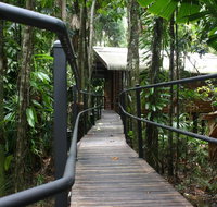 Daintree Wilderness Lodge - Northern Rivers Accommodation