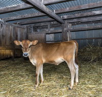 Dairyman's Cottage - Northern Rivers Accommodation