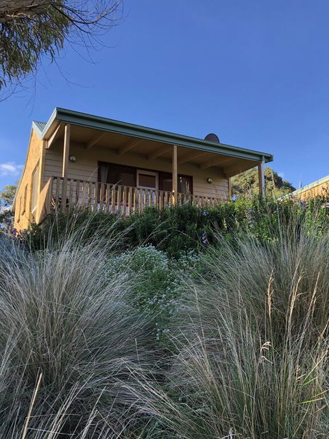 Daysy Hill Country Cottages - Northern Rivers Accommodation 3