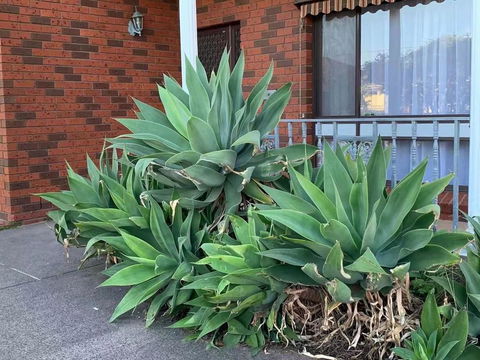 Delightful Bedroom In Bentleigh East - Northern Rivers Accommodation 2