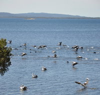 Denmark Waters BB - Northern Rivers Accommodation