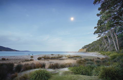 Depot Beach Cabins - Northern Rivers Accommodation 1