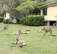 Depot Beach Cabins - Northern Rivers Accommodation
