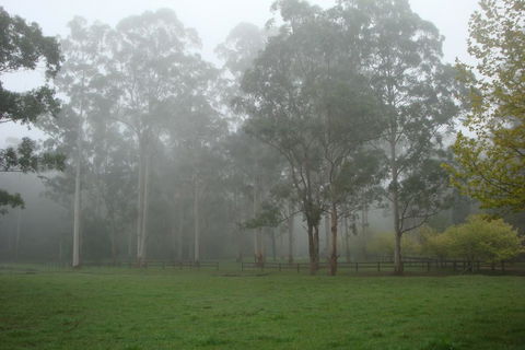 Dingley Dell - Northern Rivers Accommodation 2