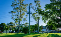 Book Dorrigo Accommodation Vacations Northern Rivers Accommodation Northern Rivers Accommodation