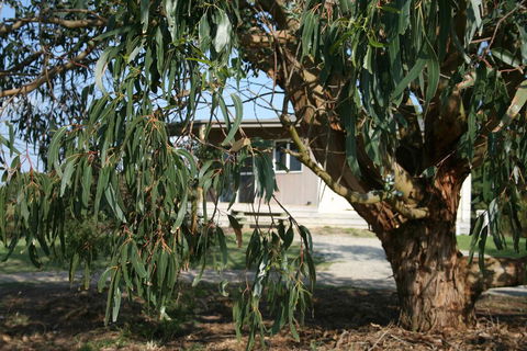 Driftwood Villas - Northern Rivers Accommodation 3