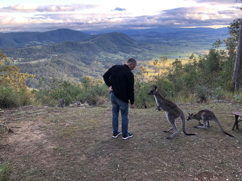 Eagleview Resort - Northern Rivers Accommodation 2