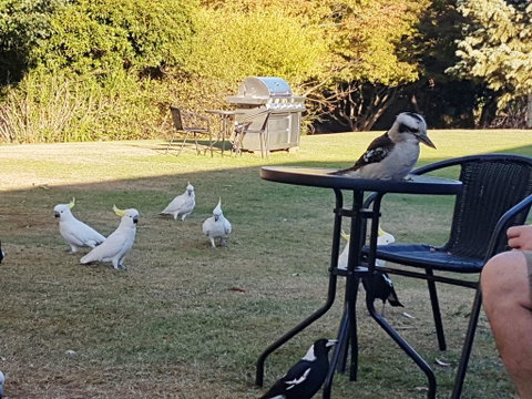 Eildon Parkview Motor Inn - Northern Rivers Accommodation 0