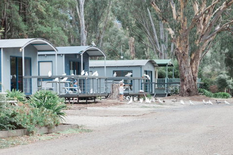 Eildon Pondage Holiday Park - Northern Rivers Accommodation 3