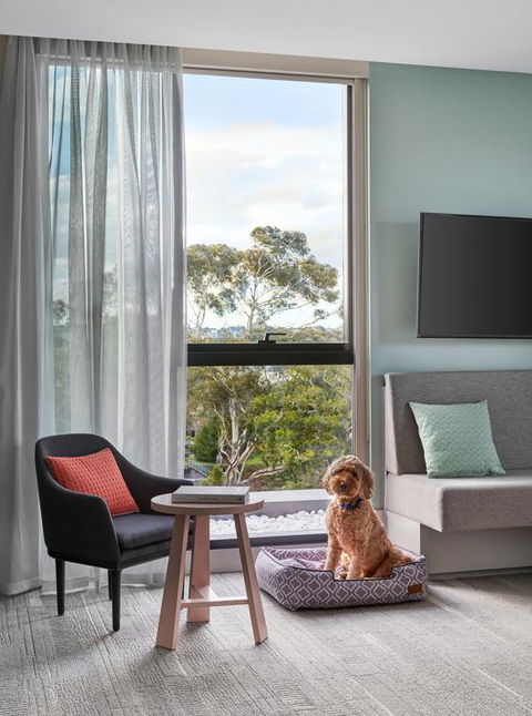 Element Melbourne Richmond - Northern Rivers Accommodation 3