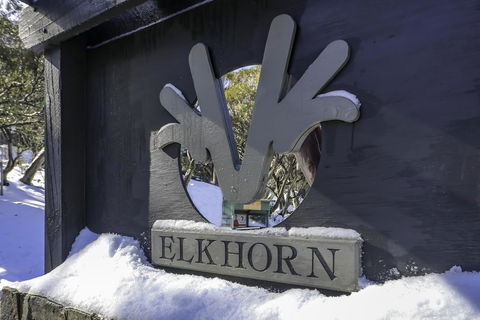 Elkhorn 11 - Northern Rivers Accommodation 2