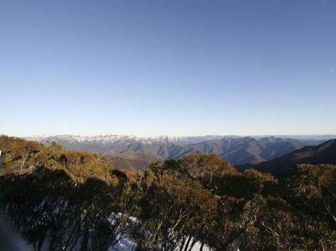 Elkhorn 7 - Northern Rivers Accommodation 0