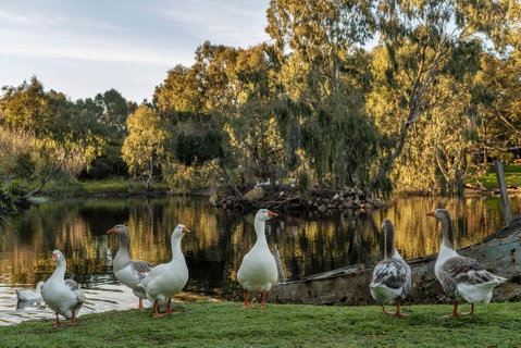 Empire Spa Retreat - Northern Rivers Accommodation 2