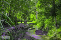 Book Esk Accommodation Vacations Northern Rivers Accommodation Northern Rivers Accommodation