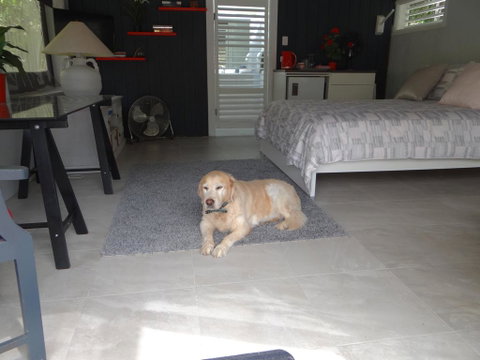 Eumundi Yacht Club B&B - Northern Rivers Accommodation 1