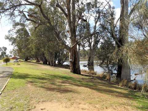 Euston Club Motel - Northern Rivers Accommodation 2