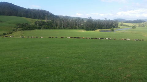 Farm Golf - Northern Rivers Accommodation 2