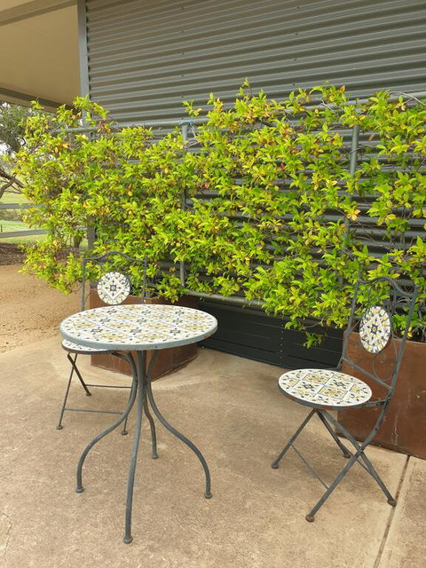 Farm Stay Studio - Northern Rivers Accommodation 2