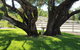 Farm Stay Studio - thumb 0