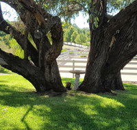Farm Stay Studio - Northern Rivers Accommodation