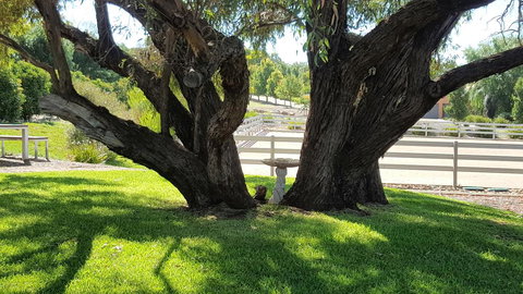 Farm Stay Studio - Northern Rivers Accommodation 0