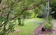 Forest View Bungalow - thumb 1