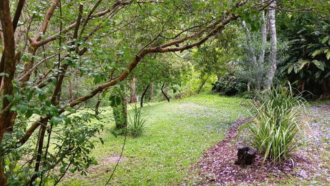 Forest View Bungalow - Northern Rivers Accommodation 1