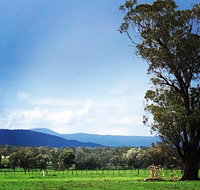 Fourjay Farmstay - Northern Rivers Accommodation