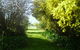 Galwiji Homestead - thumb 3
