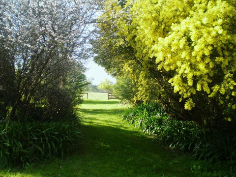 Galwiji Homestead - Northern Rivers Accommodation 3