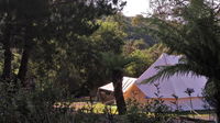 Book Zeehan Accommodation Vacations Northern Rivers Accommodation Northern Rivers Accommodation